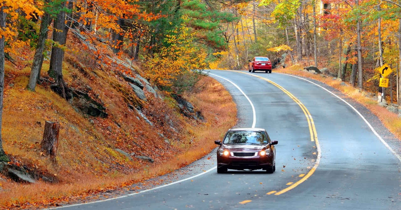 autumn-foliage-in-forest-with-road.jpg